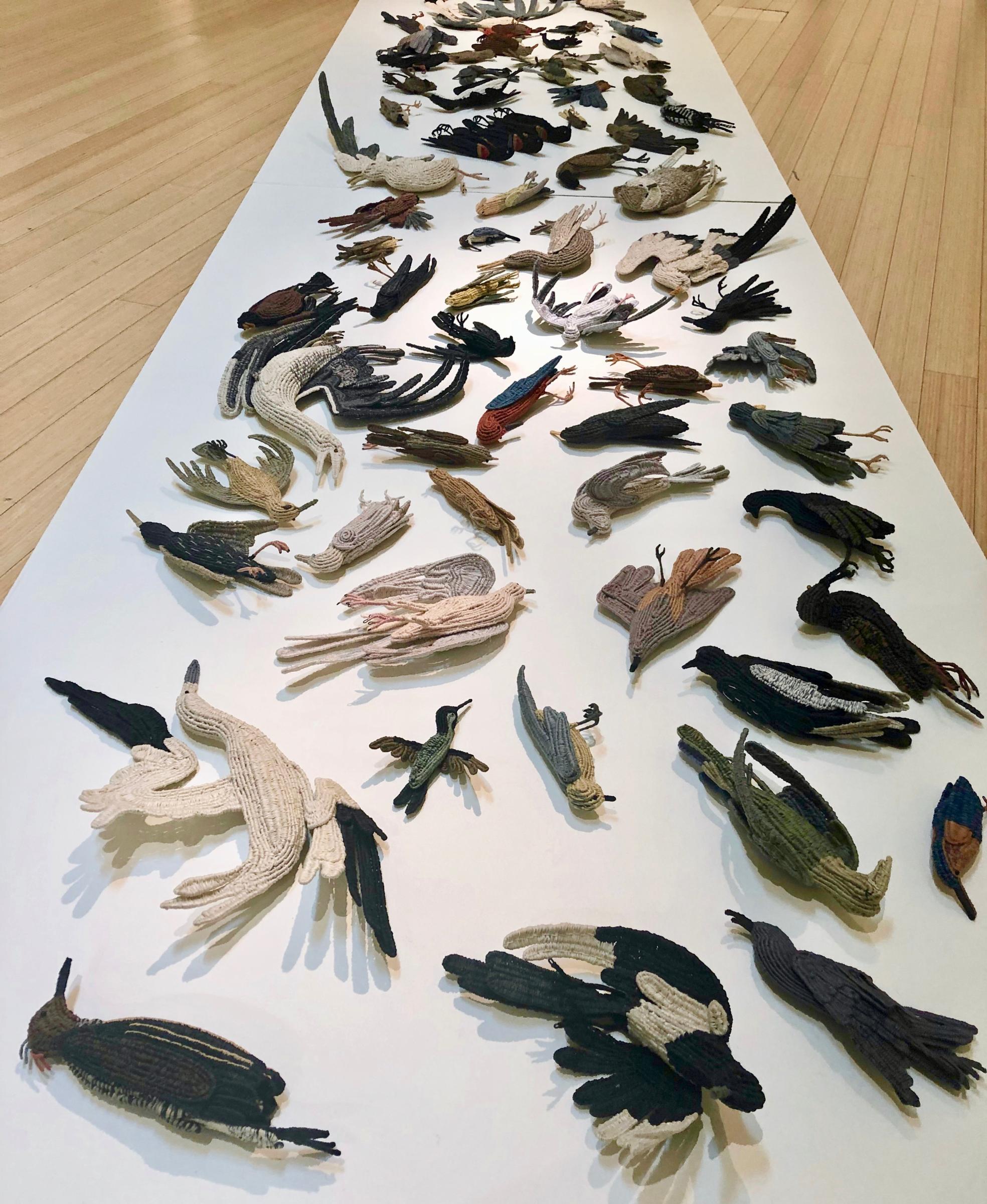 Carol  Eckert - Memento Mori: the 100 Dead Birds Project