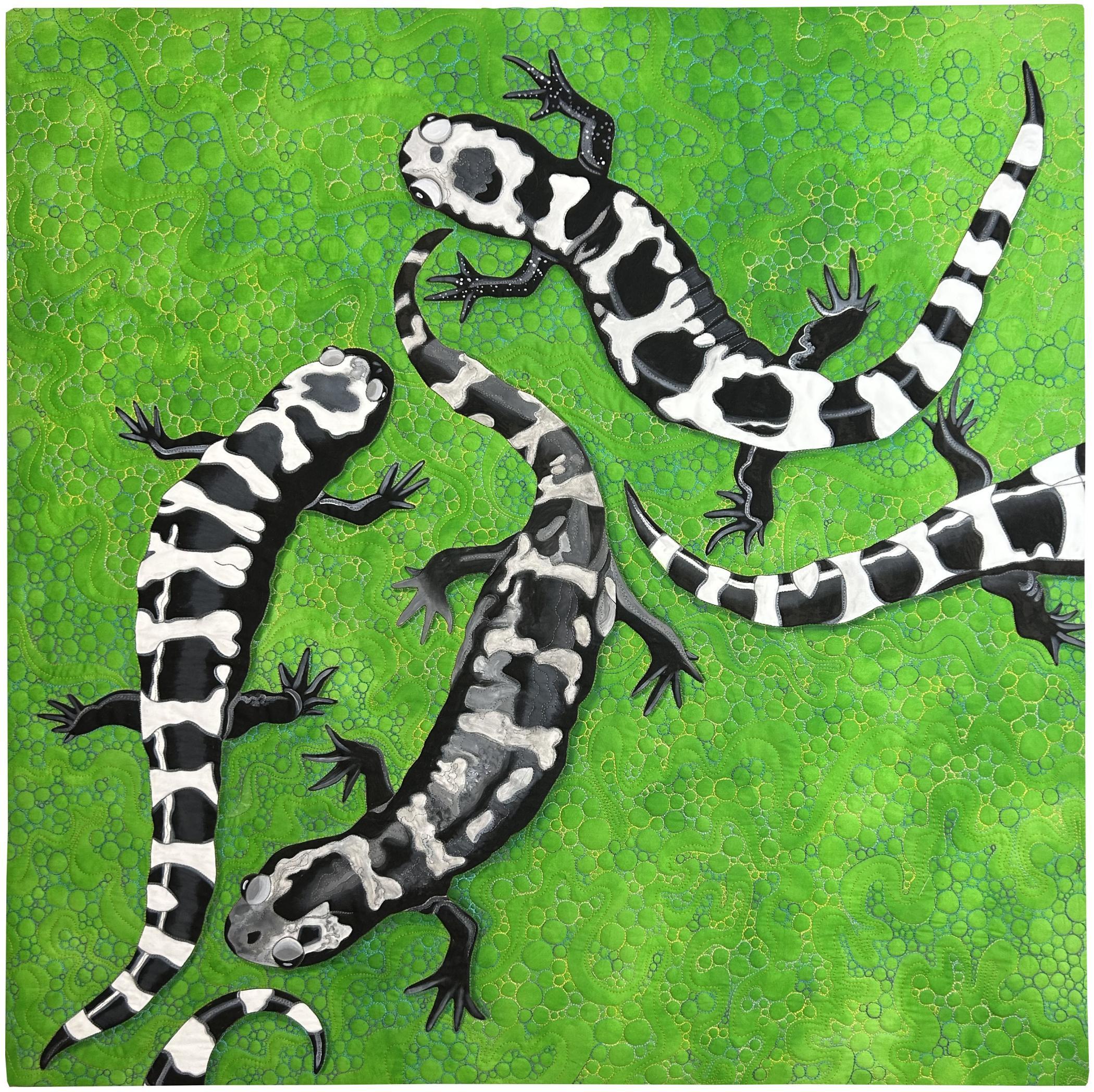 Susan  Brubaker Knapp - Marbled Salamanders