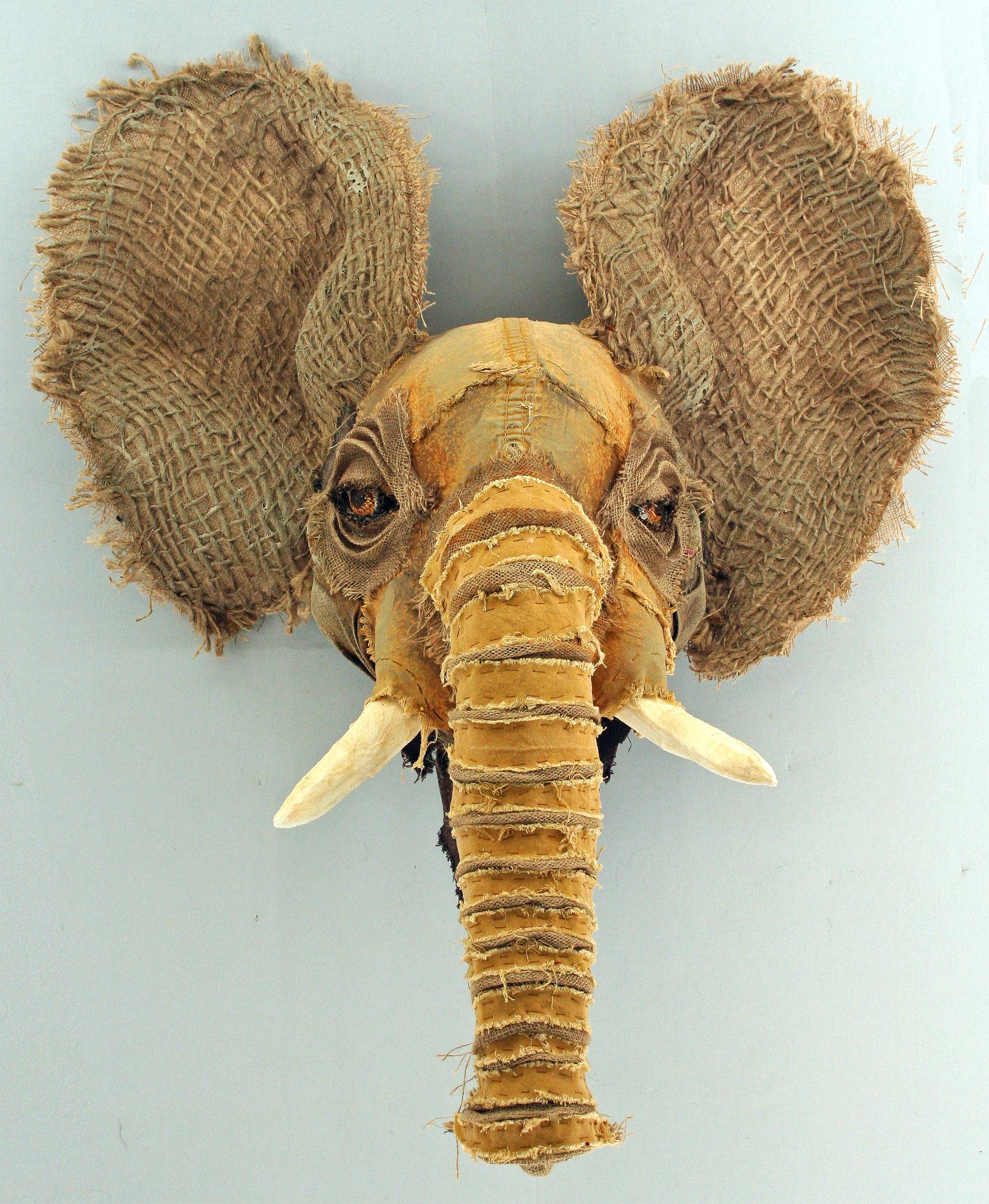  Holly Lei Cole - Veteran African Elephant