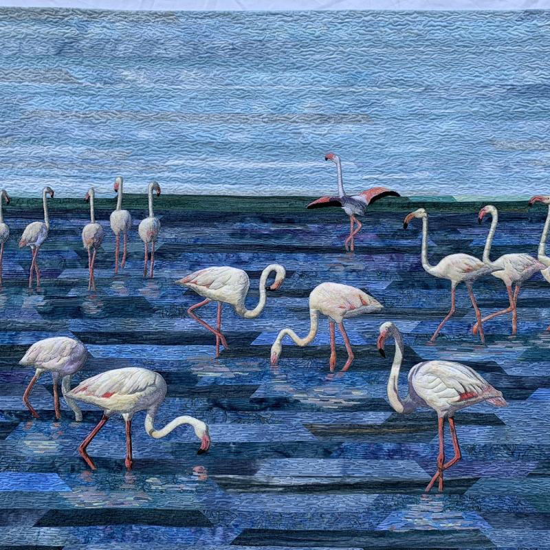 Ethelda  Ellis - Freestate Flamingos