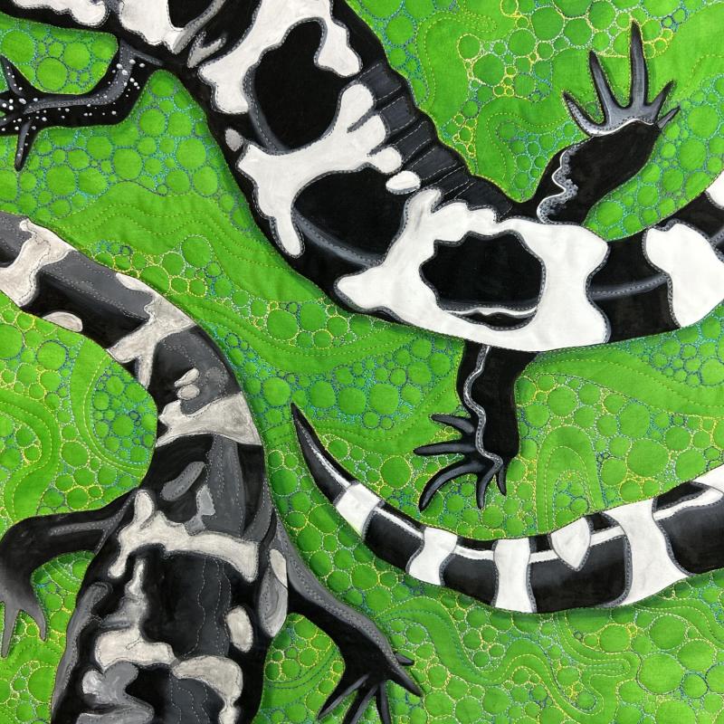 Susan  Brubaker Knapp - Marbled Salamanders