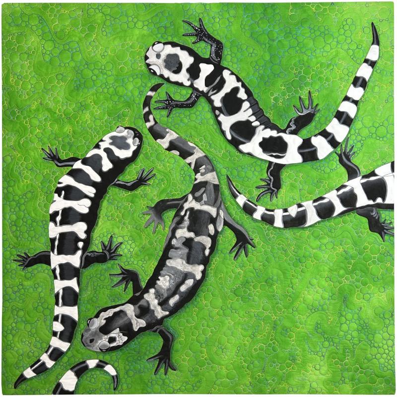 Susan  Brubaker Knapp - Marbled Salamanders