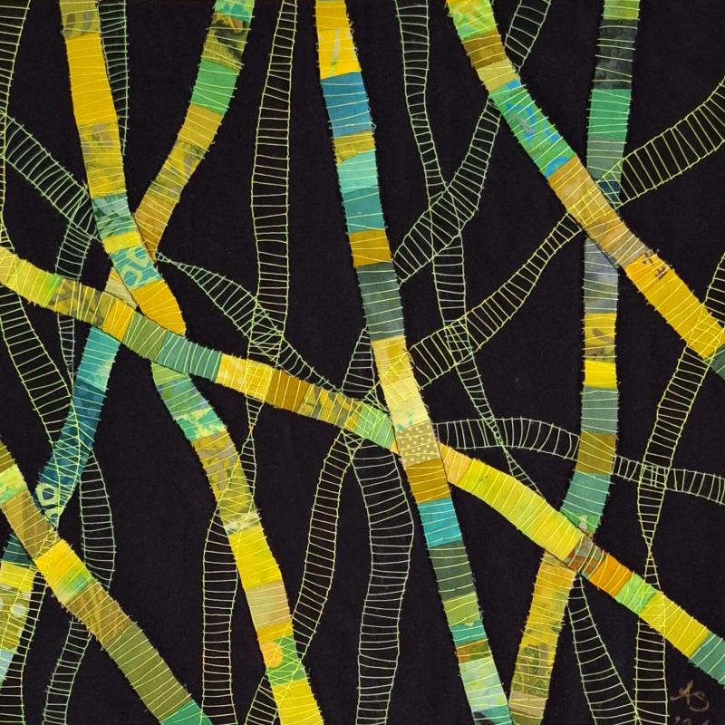 Spirogyra photo by Eduardo Baldizan