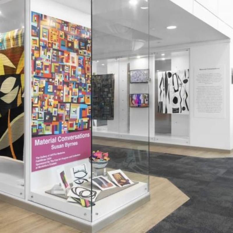 Artwork by Susan Byrnes (installation view of several abstract art quilts in display cases)